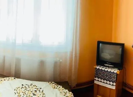 Gasthof Pensiunea Anuca Poienile Izei