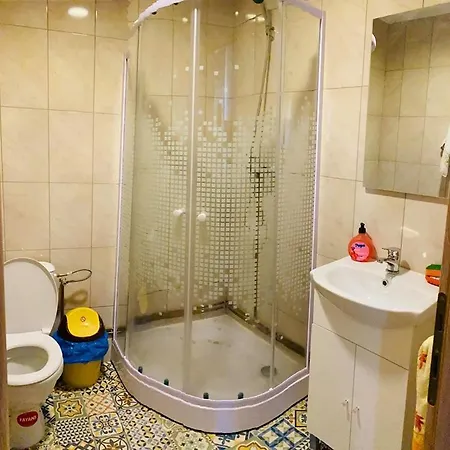 Pensiunea Anuca Poienile Izei