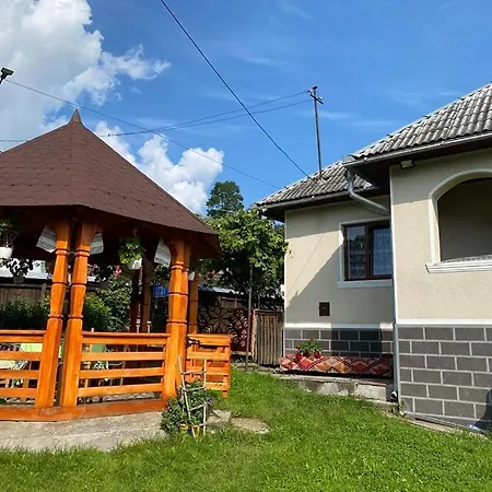 Gasthof Pensiunea Anuca *